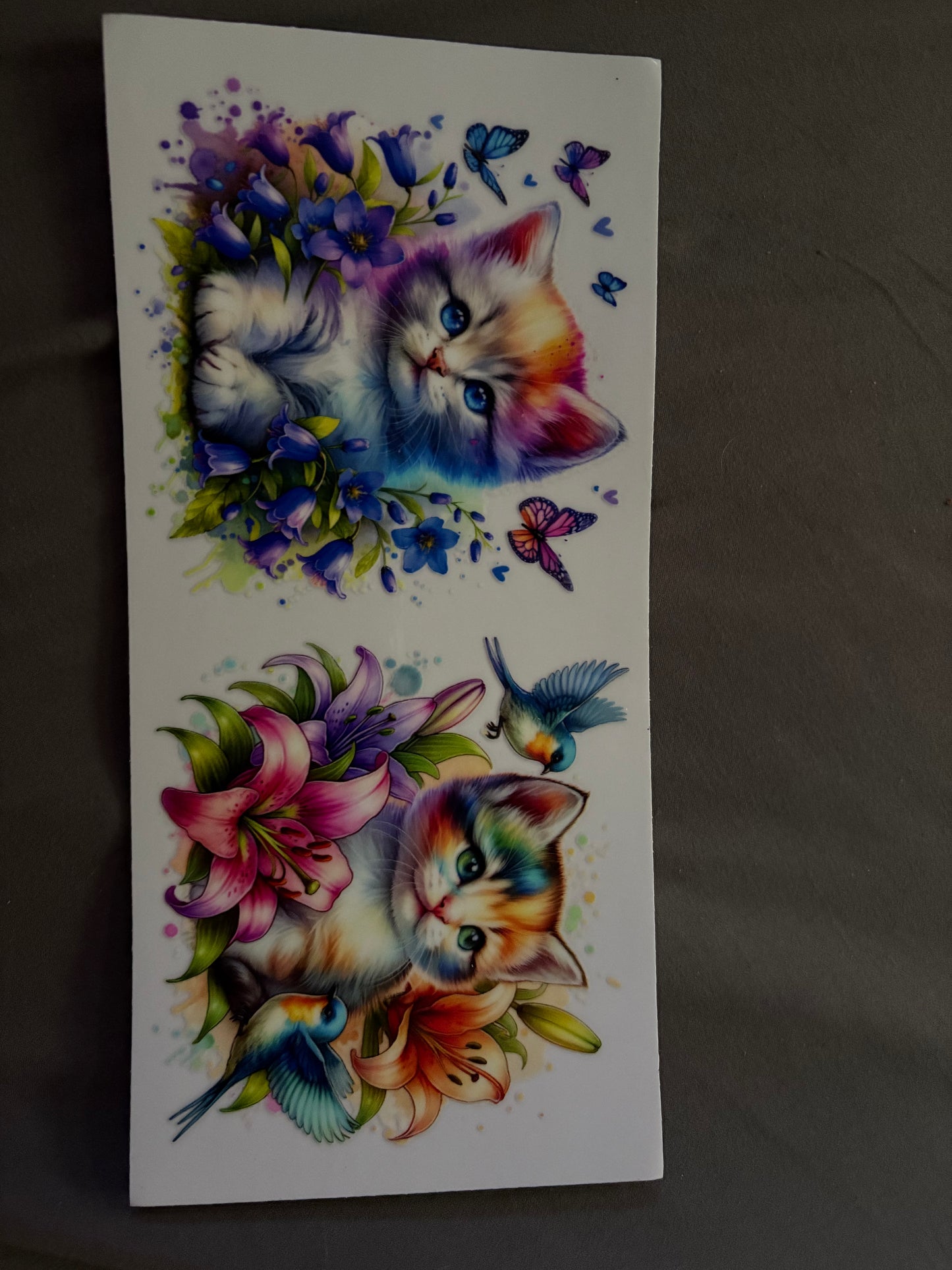 Animal Wraps