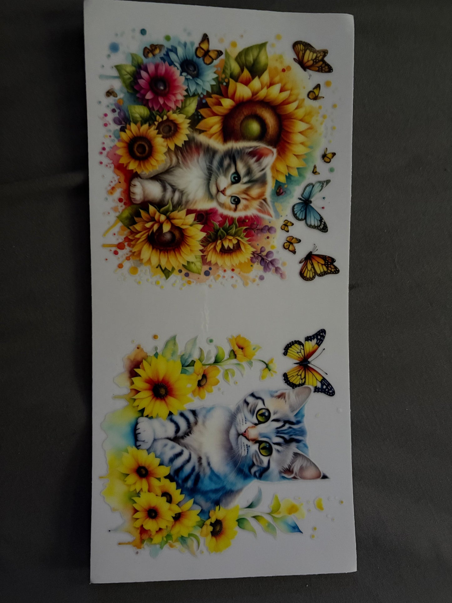 Animal Wraps