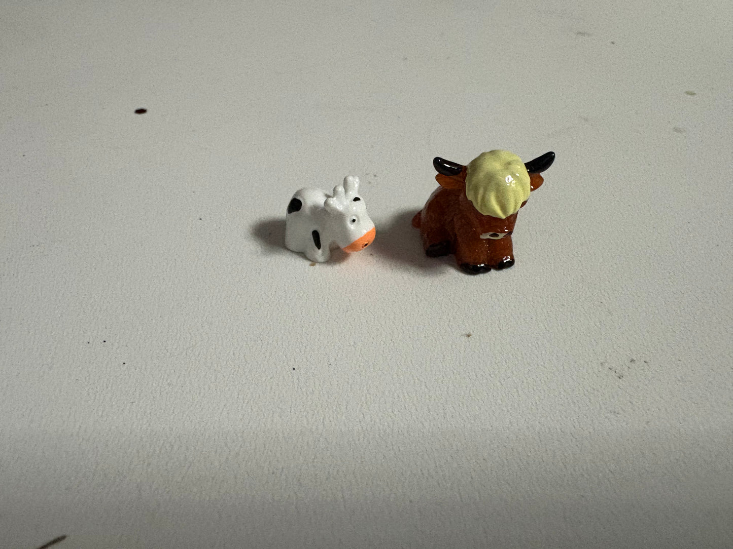 Blank Lid Decorations