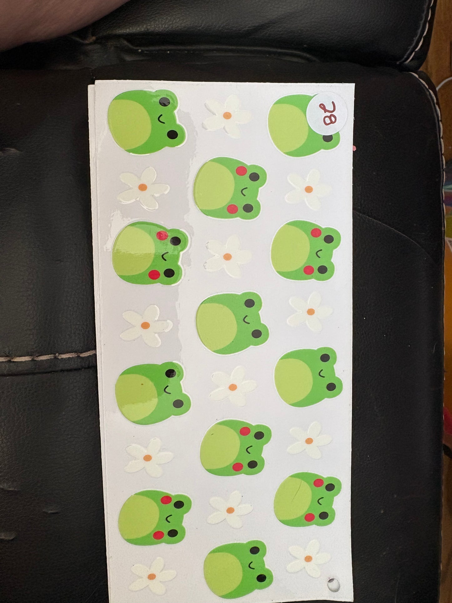 Animal Wraps