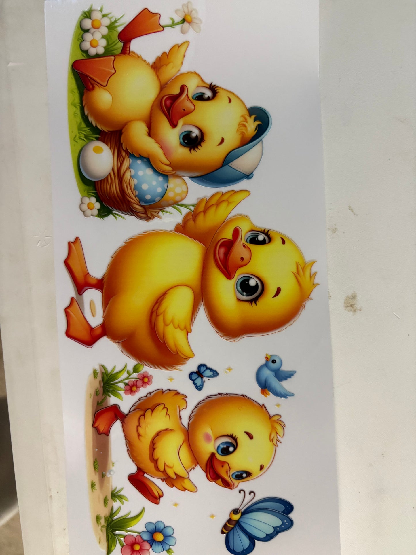Animal Wraps