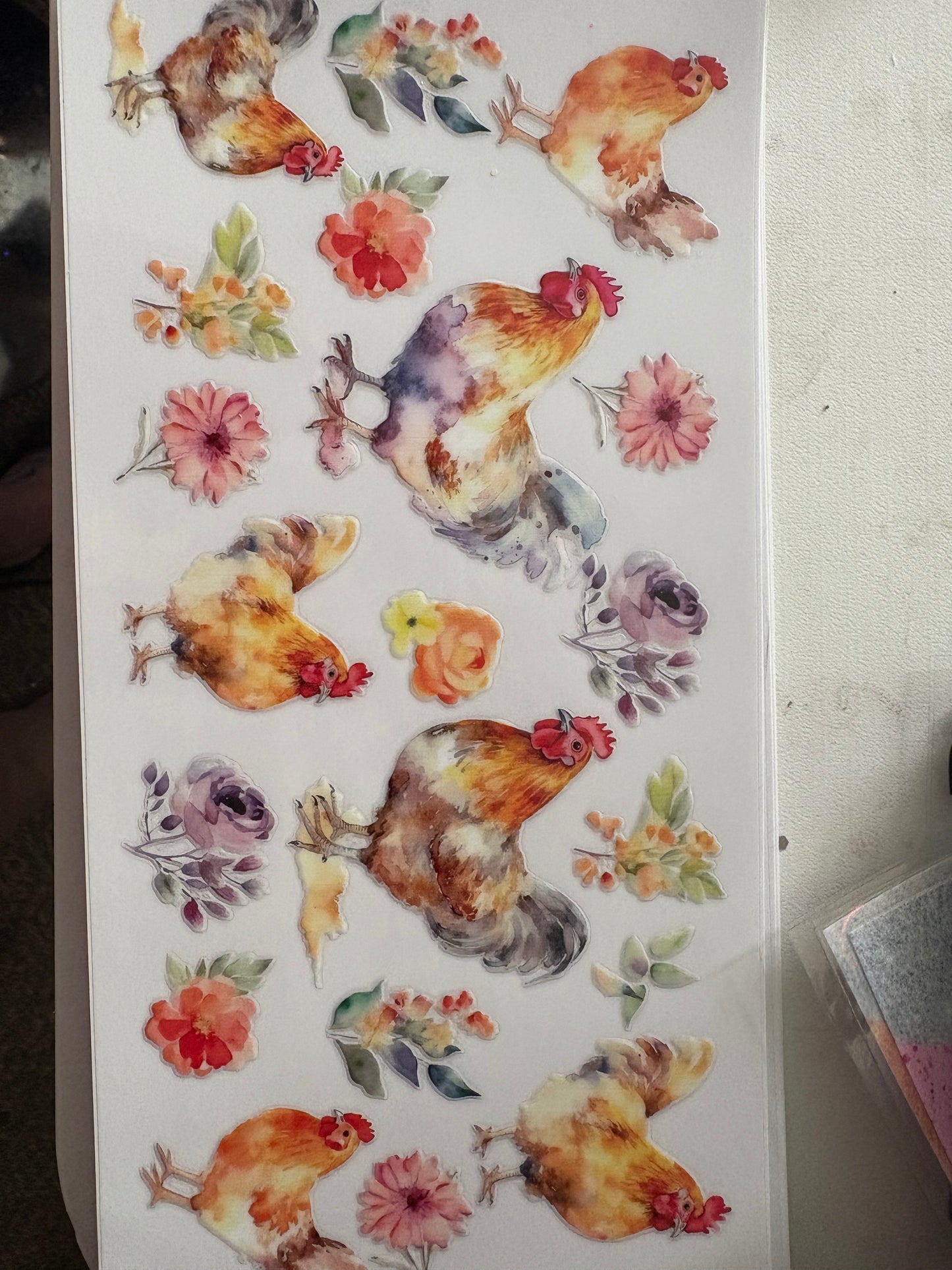Animal Wraps