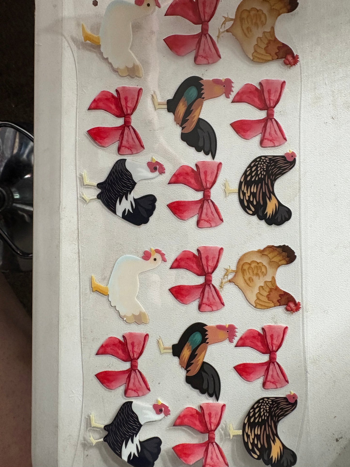 Animal Wraps