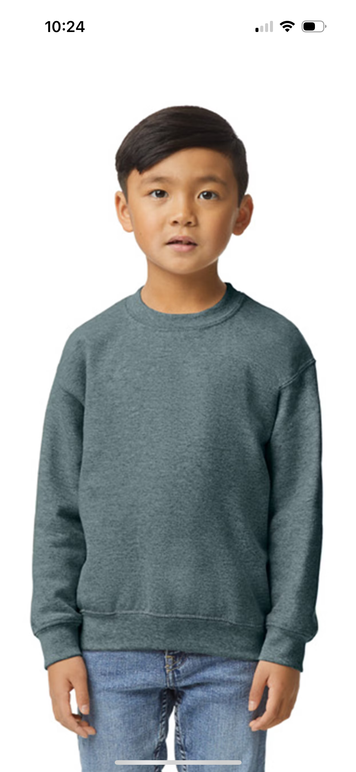 Pre order Youth crewneck