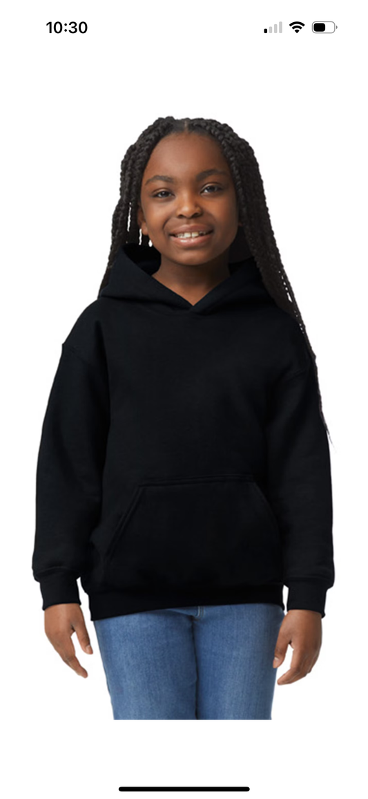 Youth Hooded Sweatshirts Pre order
